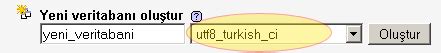 Türkçe karakter sorunu php